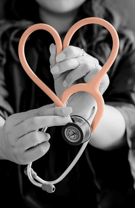 Conheça as nossas especialidades